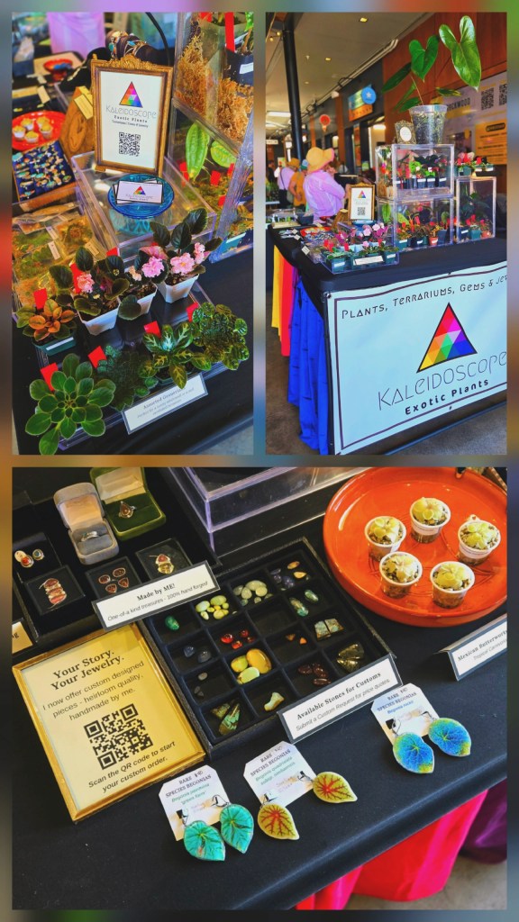 Photo collage showcasing my pop-up shop set up, featuring rare terrarium plants and my handmade artisan jewelry.